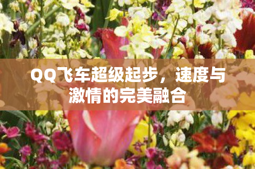 QQ飞车超级起步,速度与激情的完美融合 QQ飞车超级起步,速度与激情的完美融合