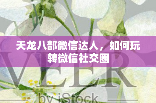 天龙八部微信达人，如何玩转微信社交圈