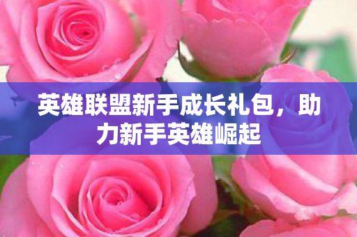 英雄联盟新手成长礼包，助力新手英雄崛起