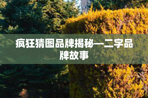 疯狂猜图品牌揭秘—二字品牌故事