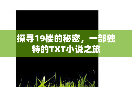 探寻19楼的秘密，一部独特的TXT小说之旅