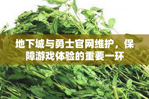 地下城与勇士官网维护,保障游戏体验的重要一环 地下城与勇士官网维护,保障游戏体验的重要一环