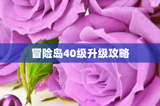 冒险岛40级升级攻略