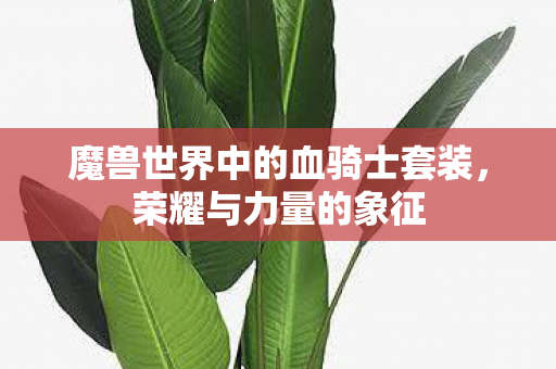 魔兽世界中的血骑士套装，荣耀与力量的象征