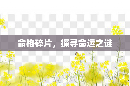 命格碎片,探寻命运之谜 命格碎片,探寻命运之谜