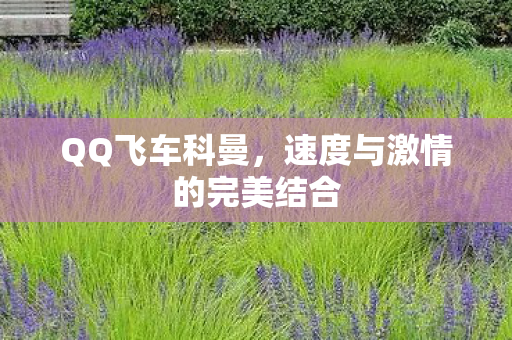 QQ飞车科曼,速度与激情的完美结合 QQ飞车科曼,速度与激情的完美结合
