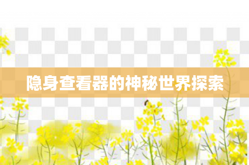 隐身查看器的神秘世界探索 隐身查看器的神秘世界探索