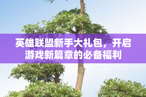 英雄联盟新手大礼包,开启游戏新篇章的必备福利 英雄联盟新手大礼包,开启游戏新篇章的必备福利