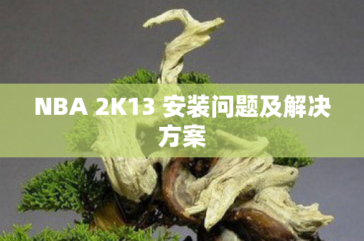 NBA 2K13 安装问题及解决方案 NBA 2K13 安装问题及解决方案