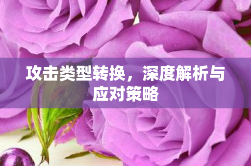 攻击类型转换,深度解析与应对策略 攻击类型转换,深度解析与应对策略