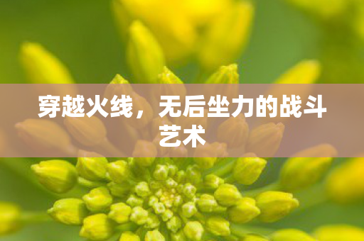 穿越火线,无后坐力的战斗艺术 穿越火线,无后坐力的战斗艺术