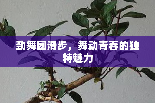 劲舞团滑步,舞动青春的独特魅力 劲舞团滑步,舞动青春的独特魅力