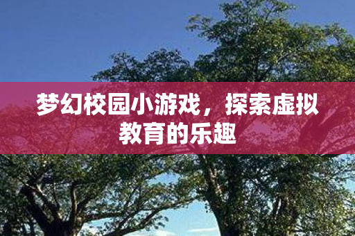 梦幻校园小游戏，探索虚拟教育的乐趣