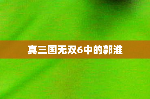 真三国无双6中的郭淮 真三国无双6中的郭淮