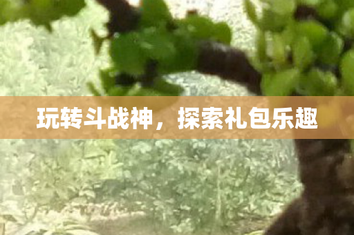 玩转斗战神,探索礼包乐趣 玩转斗战神,探索礼包乐趣