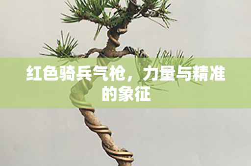 红色骑兵气枪,力量与精准的象征 红色骑兵气枪,力量与精准的象征