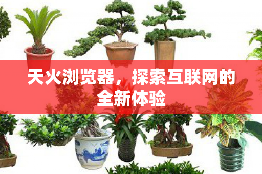 天火浏览器,探索互联网的全新体验 天火浏览器,探索互联网的全新体验