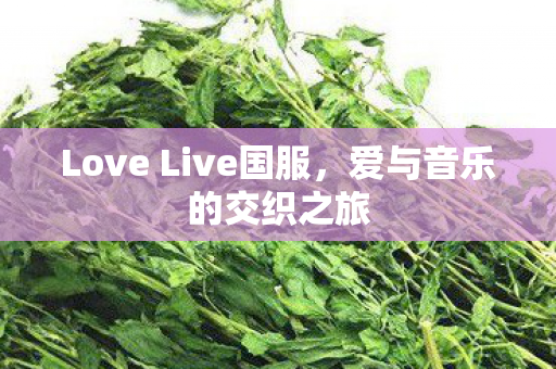 Love Live国服,爱与音乐的交织之旅 Love Live国服,爱与音乐的交织之旅