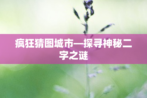疯狂猜图城市—探寻神秘二字之谜 疯狂猜图城市—探寻神秘二字之谜