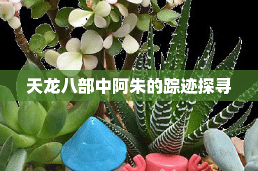 天龙八部中阿朱的踪迹探寻 天龙八部中阿朱的踪迹探寻