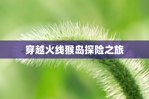 穿越火线猴岛探险之旅