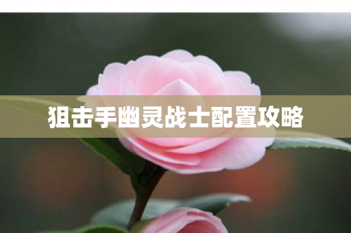 狙击手幽灵战士配置攻略