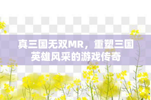 真三国无双MR，重塑三国英雄风采的游戏传奇