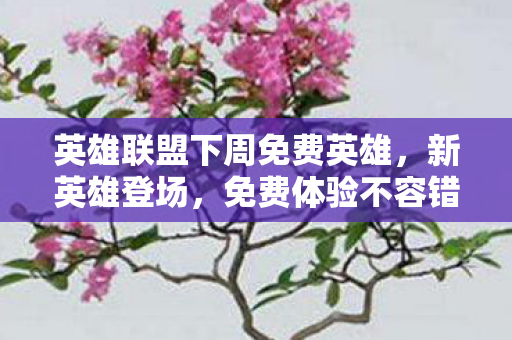 英雄联盟下周免费英雄,新英雄登场,免费体验不容错过! 英雄联盟下周免费英雄,新英雄登场,免费体验不容错过!