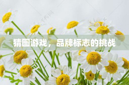 猜图游戏,品牌标志的挑战 猜图游戏,品牌标志的挑战