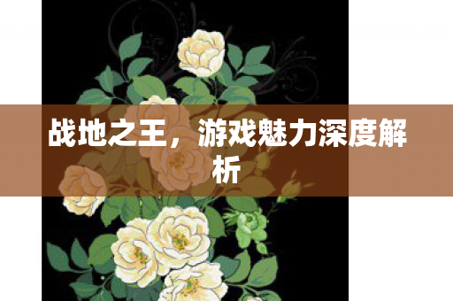 战地之王,游戏魅力深度解析 战地之王,游戏魅力深度解析
