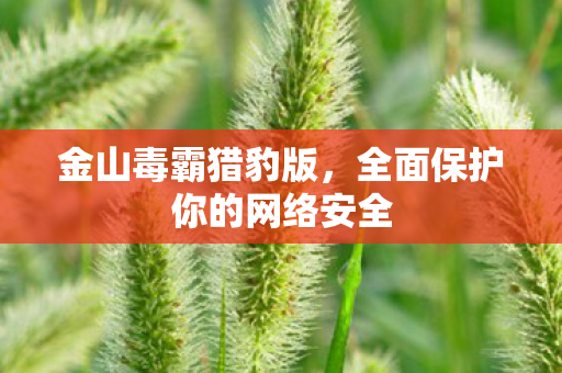 金山毒霸猎豹版,全面保护你的网络安全 金山毒霸猎豹版,全面保护你的网络安全