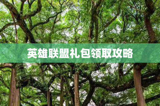 英雄联盟礼包领取攻略
