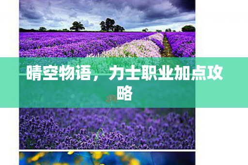 晴空物语，力士职业加点攻略