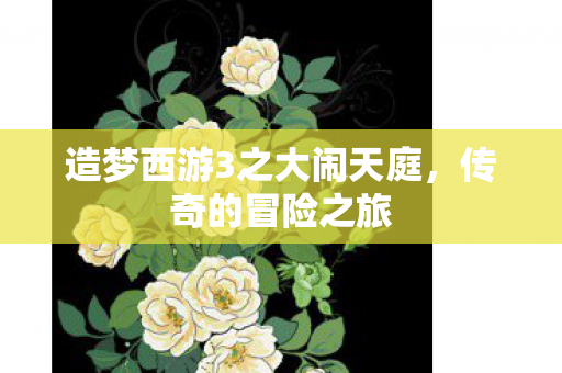 造梦西游3之大闹天庭，传奇的冒险之旅