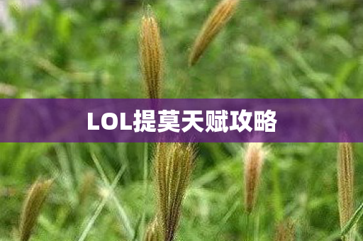 LOL提莫天赋攻略 LOL提莫天赋攻略