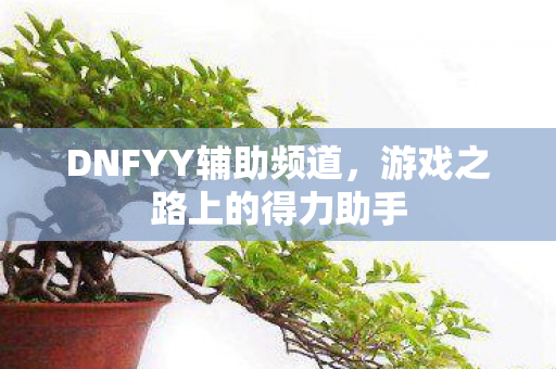 DNFYY辅助频道,游戏之路上的得力助手 DNFYY辅助频道,游戏之路上的得力助手