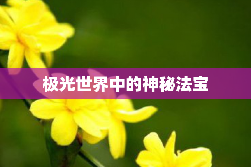 极光世界中的神秘法宝