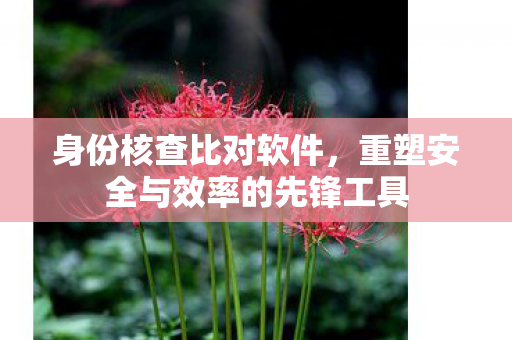 身份核查比对软件,重塑安全与效率的先锋工具 身份核查比对软件,重塑安全与效率的先锋工具