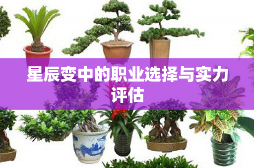 星辰变中的职业选择与实力评估 星辰变中的职业选择与实力评估