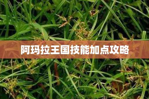 阿玛拉王国技能加点攻略 阿玛拉王国技能加点攻略