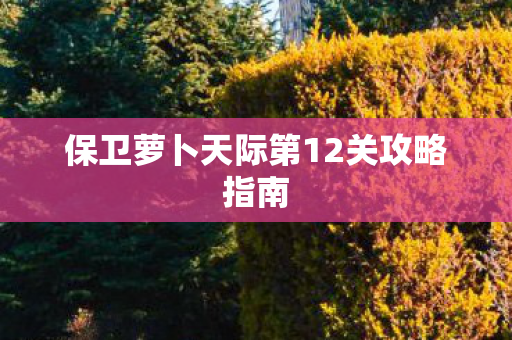 保卫萝卜天际第12关攻略指南 保卫萝卜天际第12关攻略指南