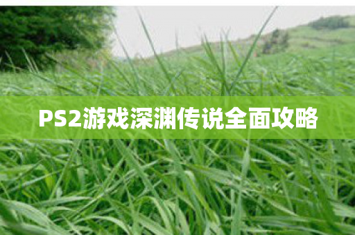 PS2游戏深渊传说全面攻略 PS2游戏深渊传说全面攻略