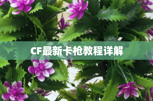 CF最新卡枪教程详解 CF最新卡枪教程详解