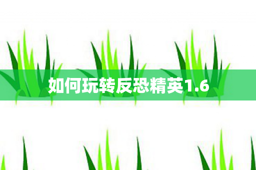 如何玩转反恐精英1.6 如何玩转反恐精英1.6