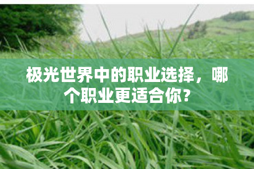 极光世界中的职业选择,哪个职业更适合你? 极光世界中的职业选择,哪个职业更适合你?