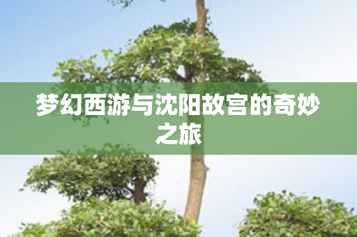 梦幻西游与沈阳故宫的奇妙之旅 梦幻西游与沈阳故宫的奇妙之旅