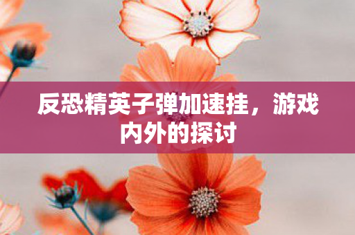 反恐精英子弹加速挂,游戏内外的探讨 反恐精英子弹加速挂,游戏内外的探讨