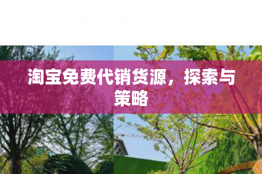 淘宝免费代销货源，探索与策略