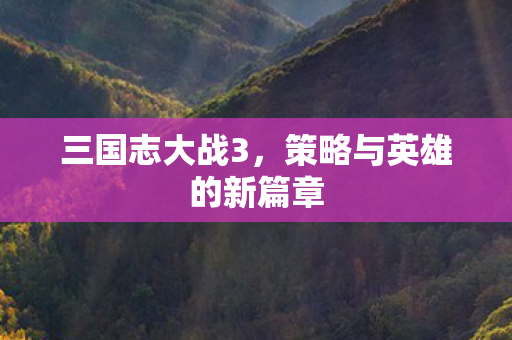 三国志大战3，策略与英雄的新篇章