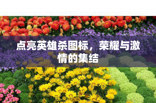 点亮英雄杀图标,荣耀与激情的集结 点亮英雄杀图标,荣耀与激情的集结